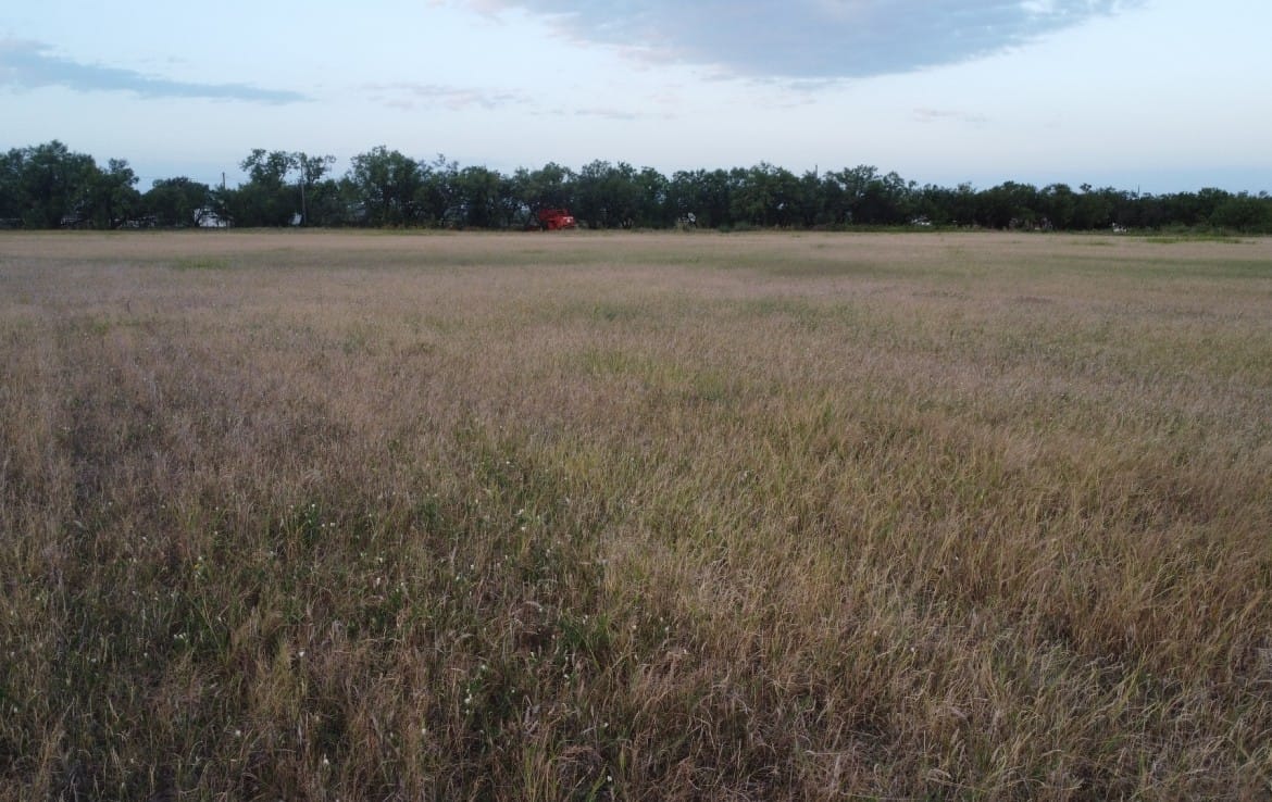 20 acres in Taylor County