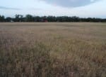 20 acres in Taylor County