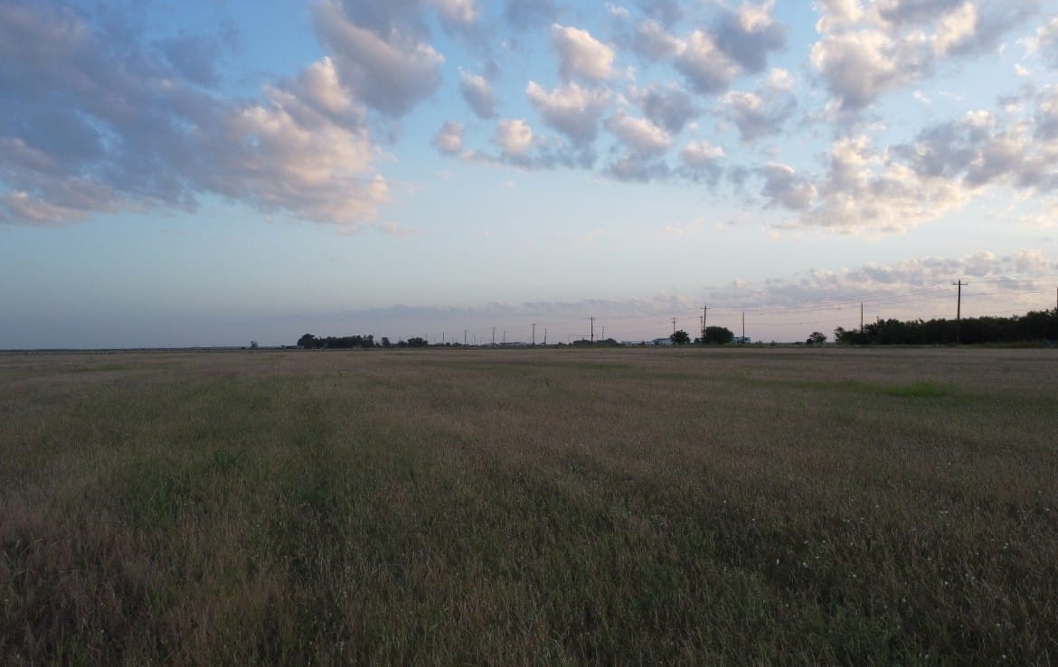 20 acres in Taylor County