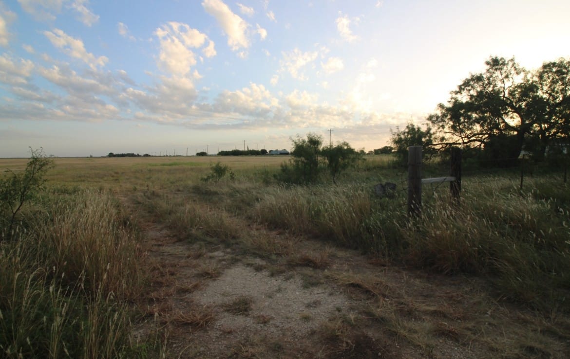 20 acres in Taylor County