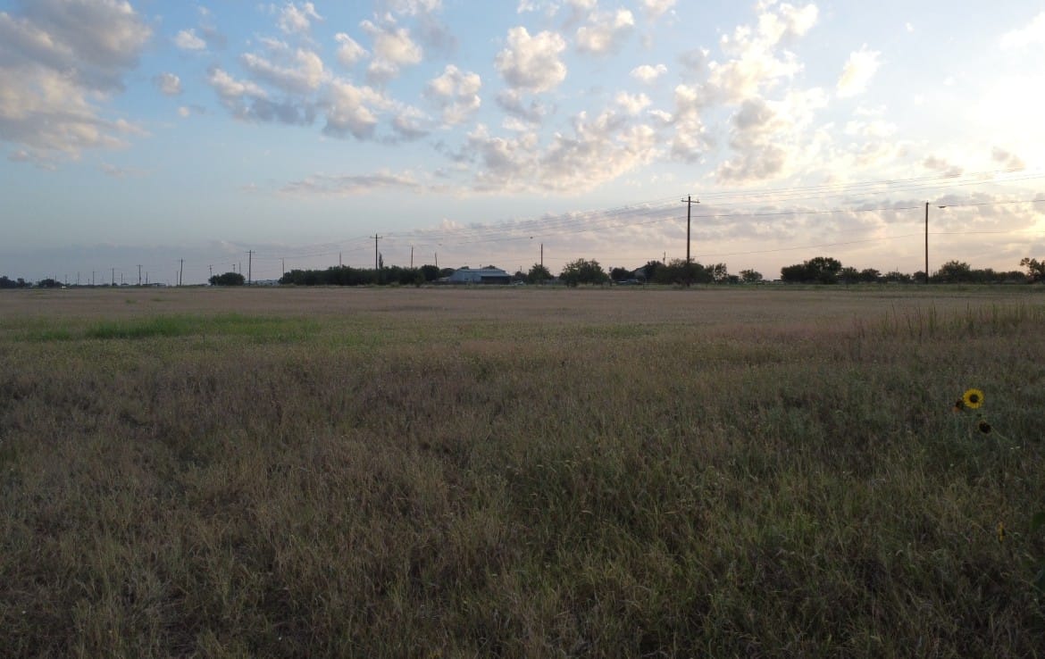 20 acres in Taylor County