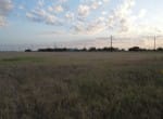 20 acres in Taylor County
