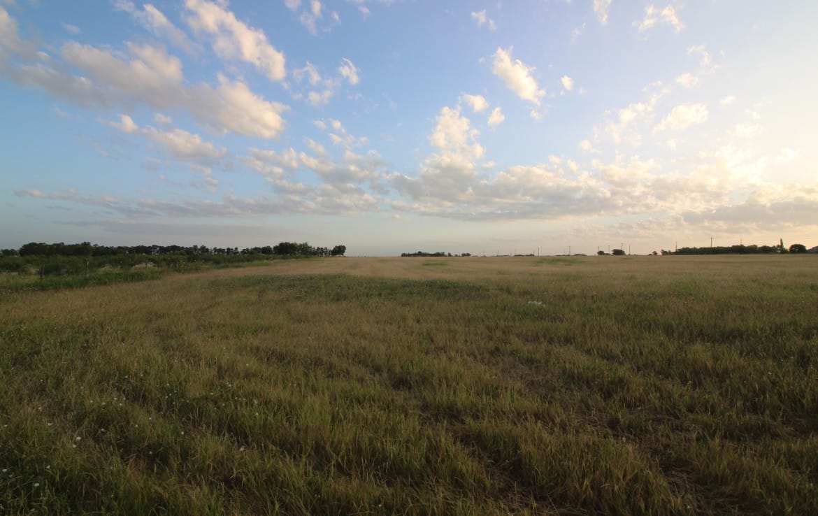 20 acres in Taylor County