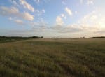 20 acres in Taylor County