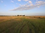 20 acres in Taylor County
