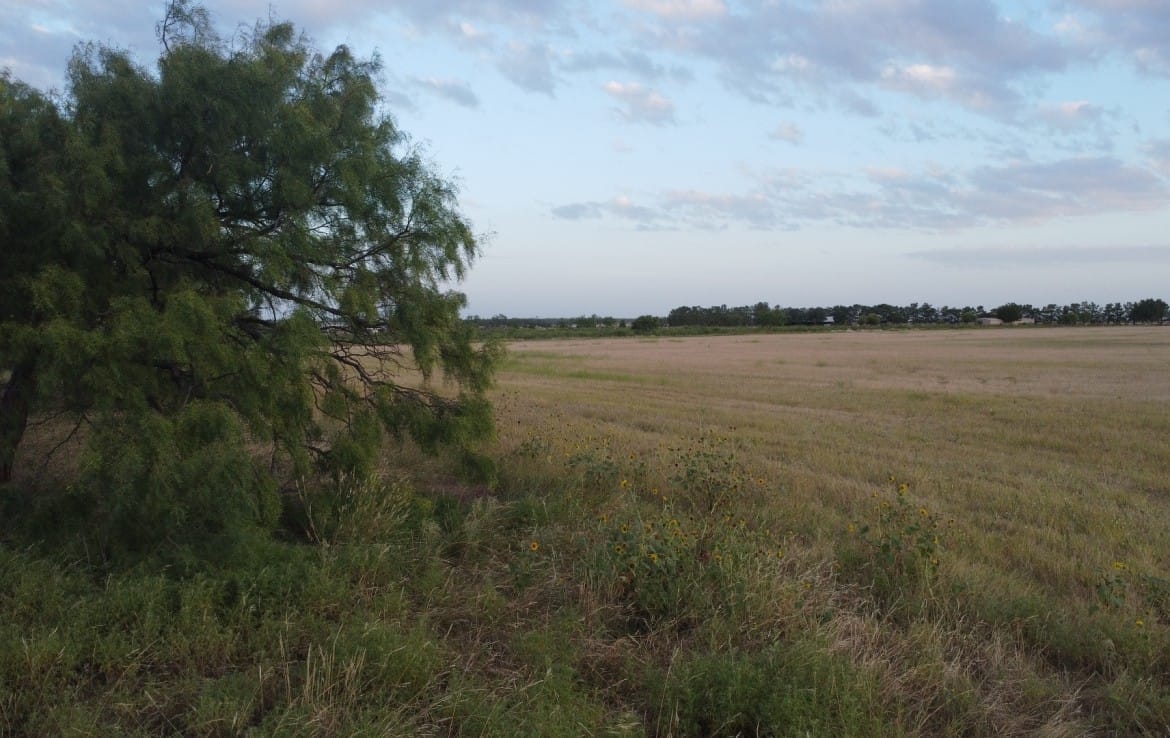 20 acres in Taylor County