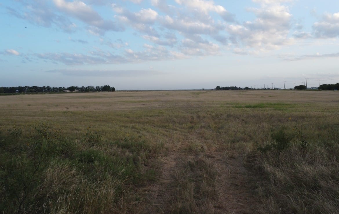 20 acres in Taylor County