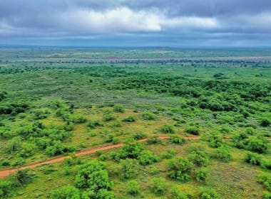 1,925 acres in Collingsworth County