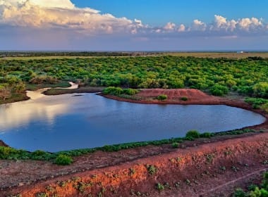 399 acres in Hardeman County