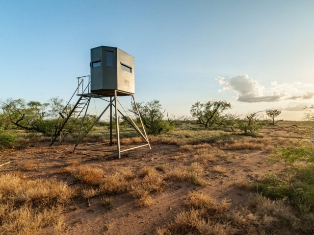 1764 Hardeman - Additional Photos