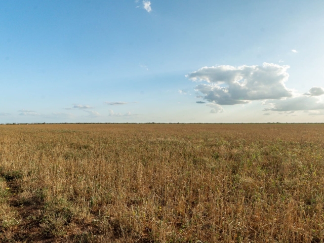 1764 Hardeman - Additional Photos