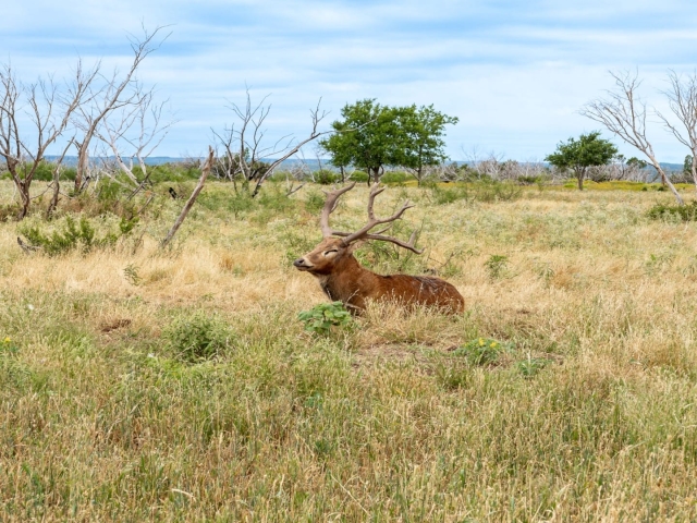 1764 Hardeman - Additional Photos