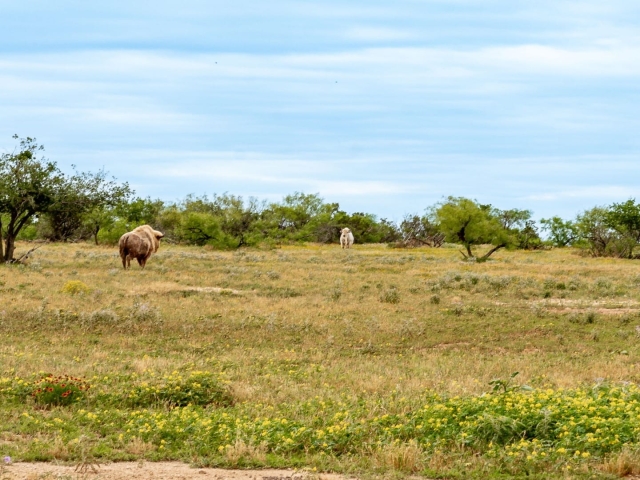 1764 Hardeman - Additional Photos