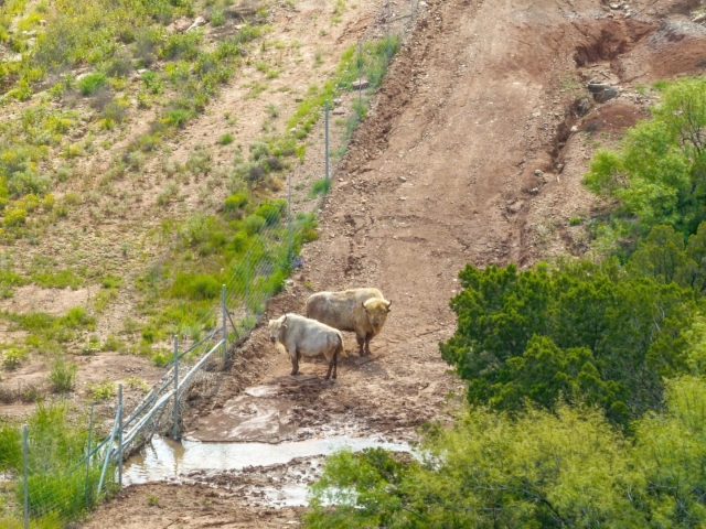 1764 Hardeman - Additional Photos