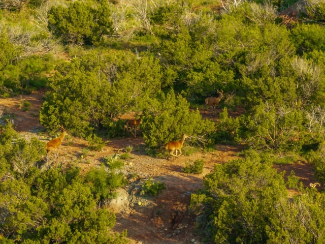 1764 Hardeman - Additional Photos