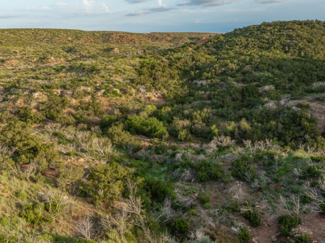 1764 Hardeman - Additional Photos