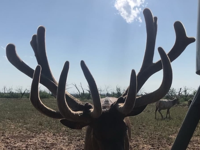 1764 Hardeman - Additional Photos