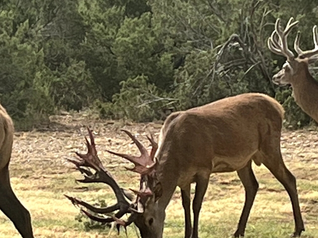 1764 Hardeman - Additional Photos