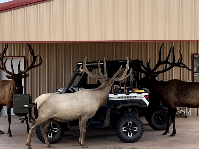 1764 Hardeman - Additional Photos