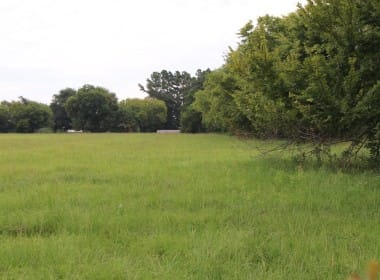 2 acres in Rains County