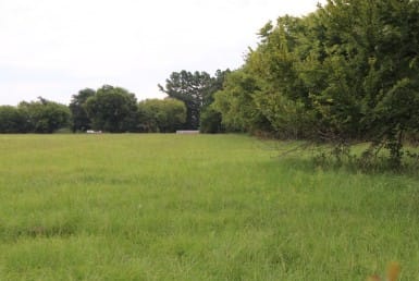 2 acres in Rains County
