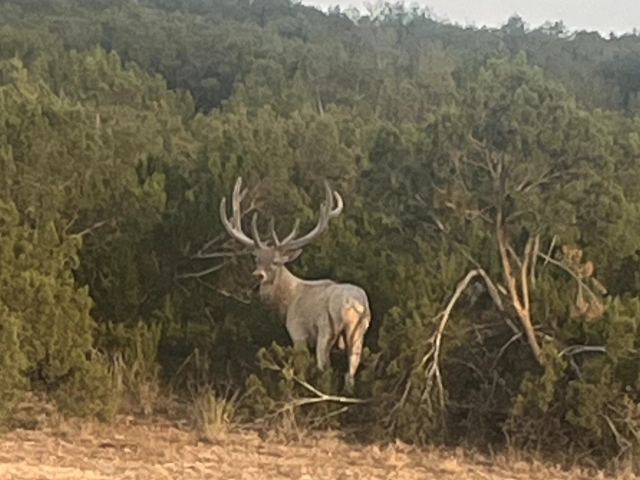 1764 Hardeman - Additional Photos