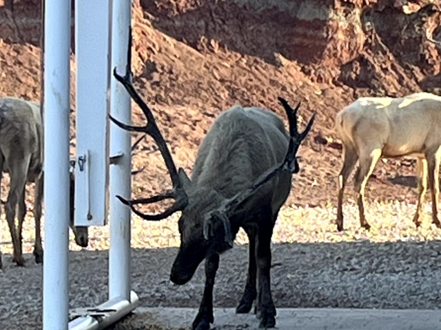 1764 Hardeman - Additional Photos