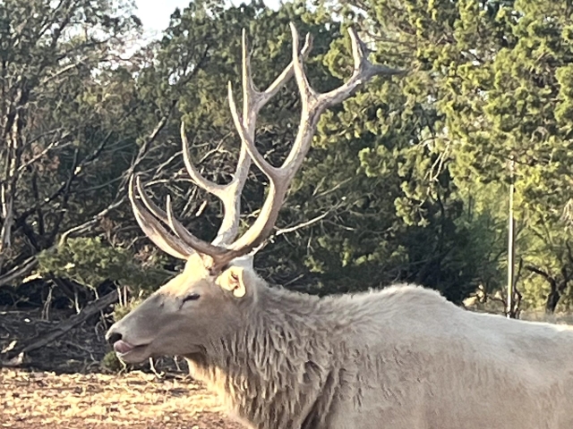 1764 Hardeman - Additional Photos