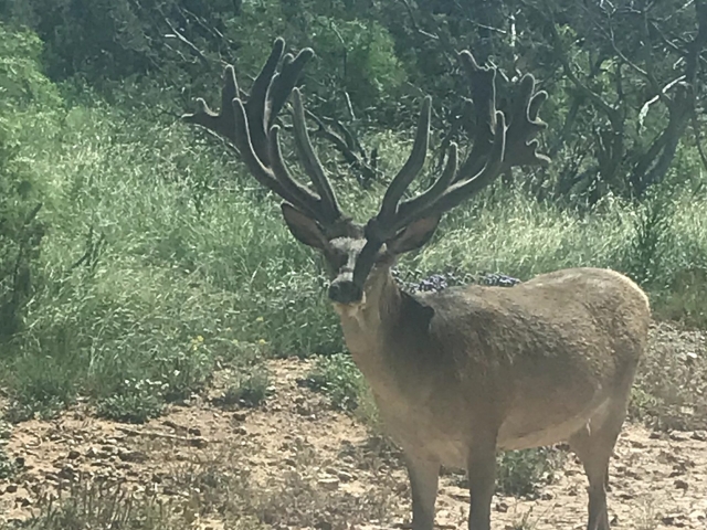 1764 Hardeman - Additional Photos