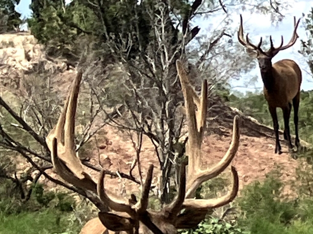 1764 Hardeman - Additional Photos