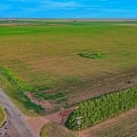 516 acres in Hockley County