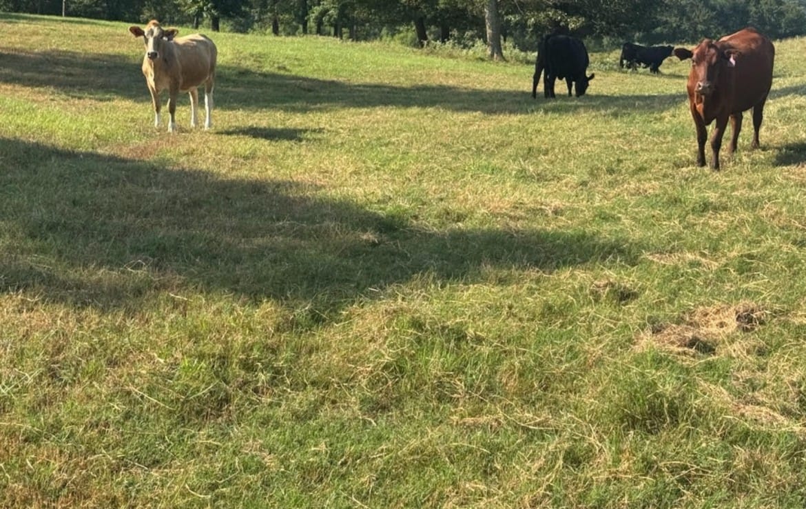 362 acres in Franklin County