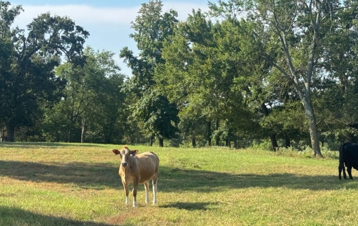362 acres in Franklin County
