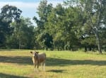 362 acres in Franklin County