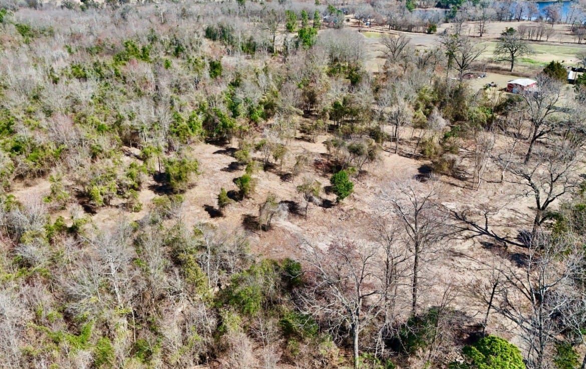 3 acres in Camp County