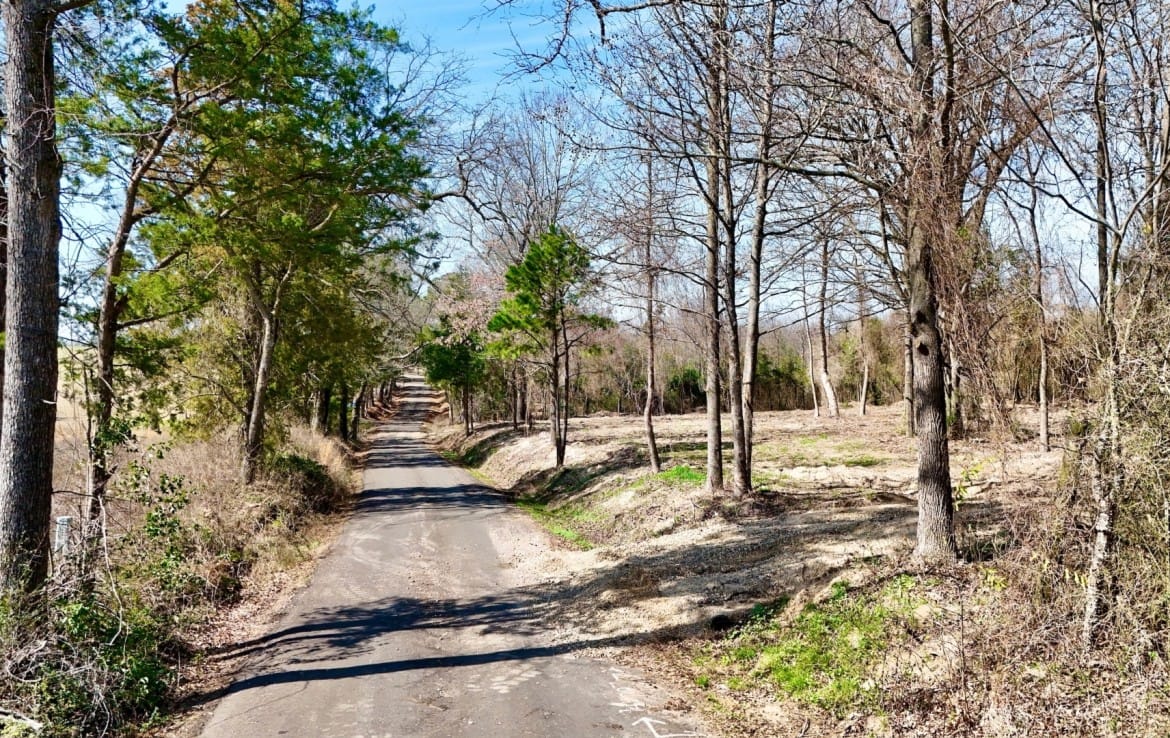 3 acres in Camp County