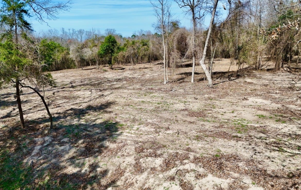 3 acres in Camp County