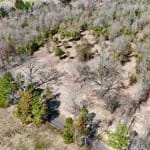 3 acres in Camp County