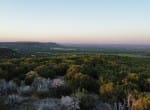 207 acres in Taylor County