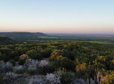 207 acres in Taylor County