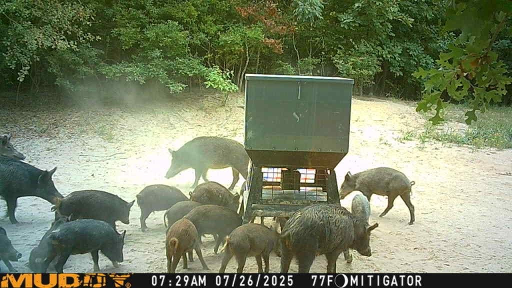 36 acres in Red River County