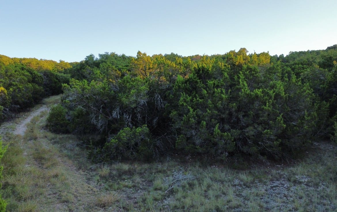 207 acres in Taylor County