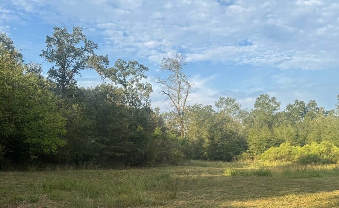 36 acres in Red River County