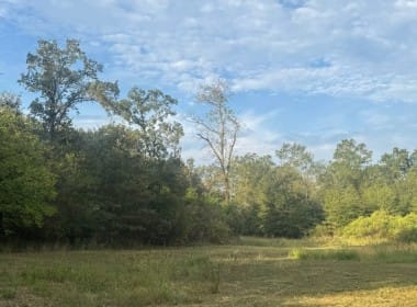 36 acres in Red River County