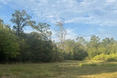 36 acres in Red River County