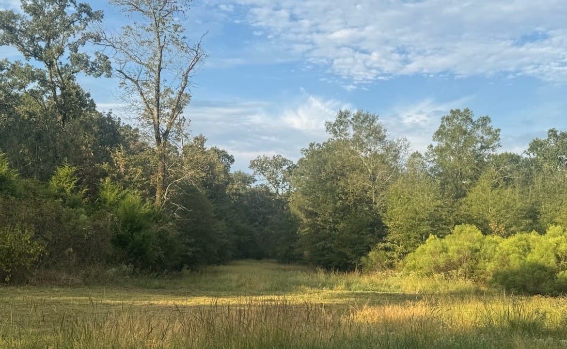 36 acres in Red River County