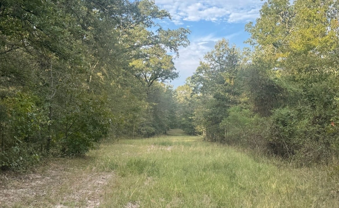 36 acres in Red River County
