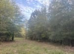 36 acres in Red River County