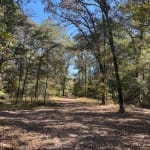 36 acres in Red River County