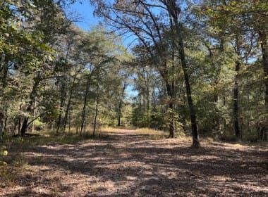 36 acres in Red River County